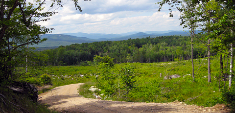 USFS Androscoggin Valley Ranger Station