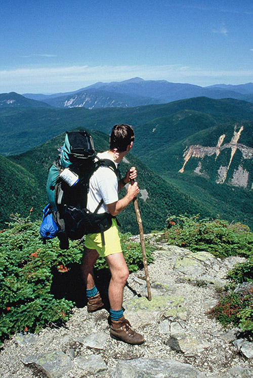 Mt. Willard View