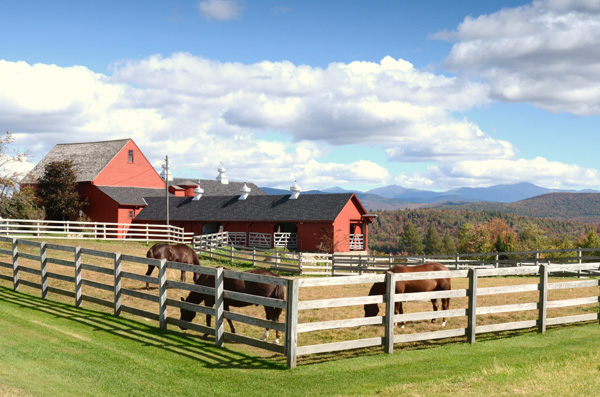 Farm in Bethlehem, NH