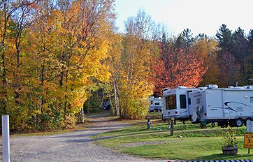 White Birches Camping Park