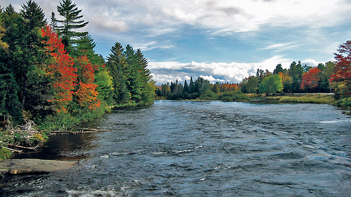 Androsoggin River in 13 Mile Woods