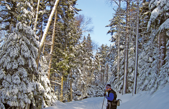 Nordic Skiing in Northern NH